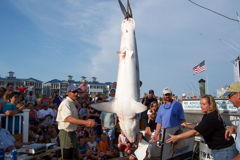 Fishing catch aboard White Lightning