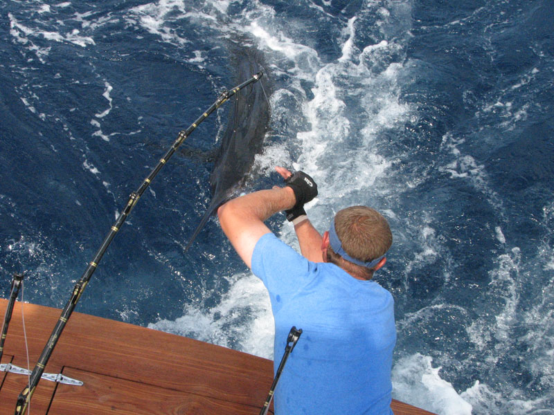 Fishing catch aboard White Lightning