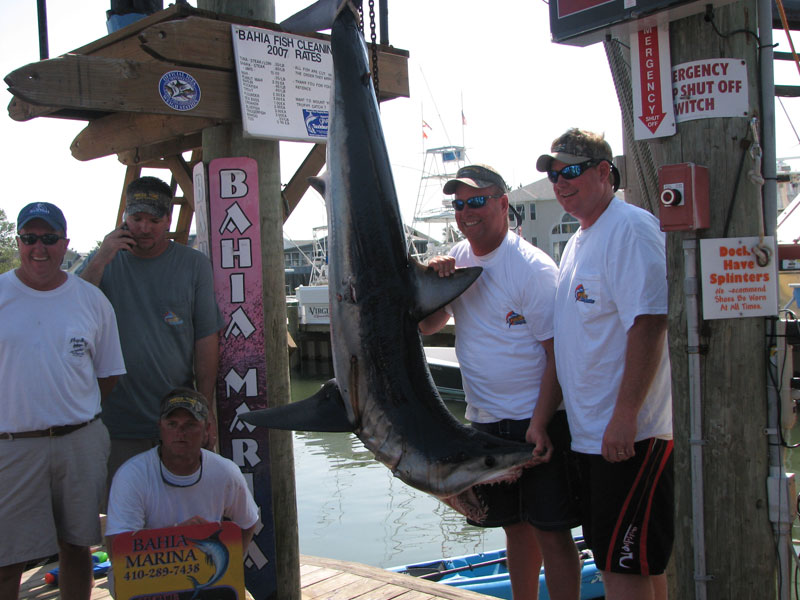 Fishing action aboard White Lightning
