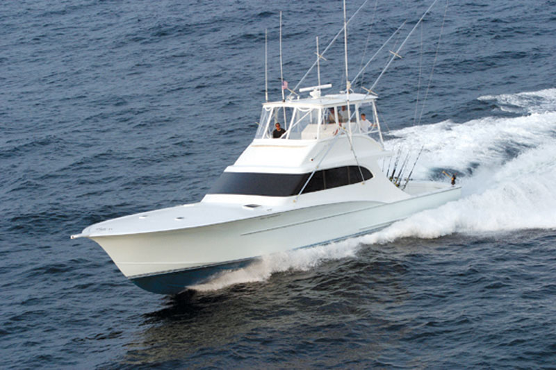 Fishing catch aboard White Lightning