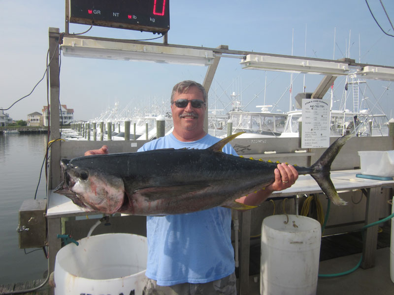 Fishing catch aboard White Lightning