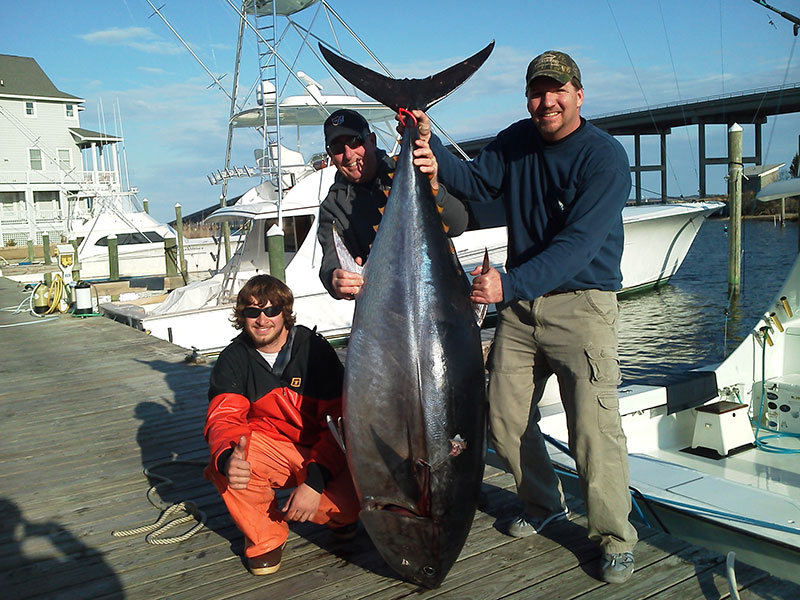 Fishing catch aboard White Lightning