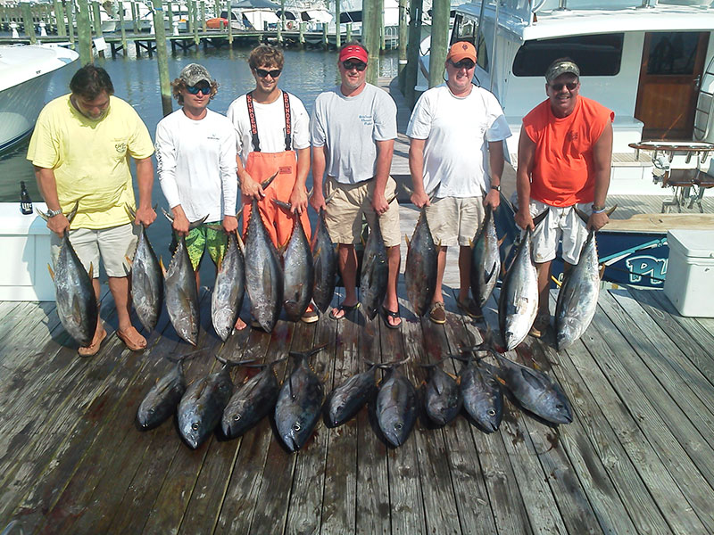 Fishing catch aboard White Lightning
