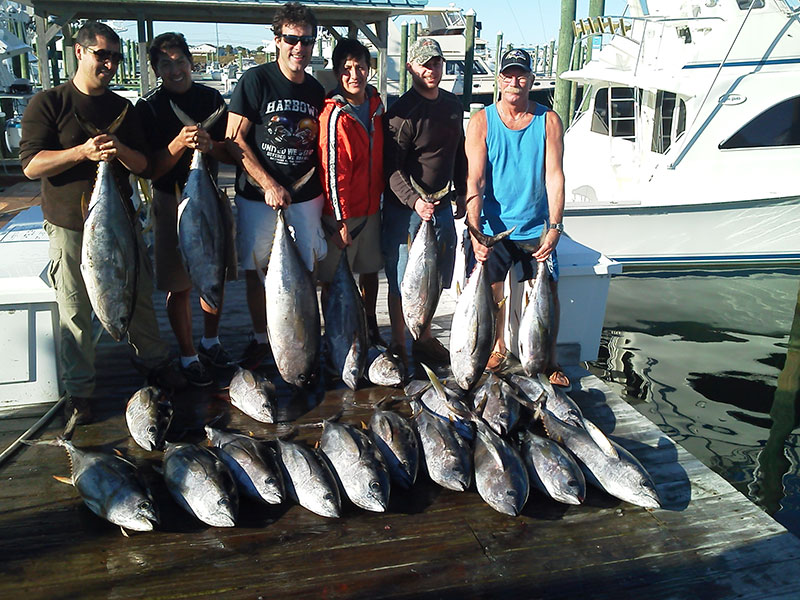 Fishing catch aboard White Lightning