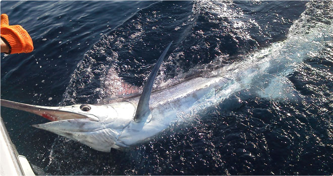 White Lightning fishing trip
